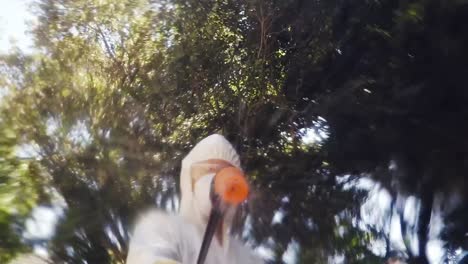 hombre haciendo control de plagas
