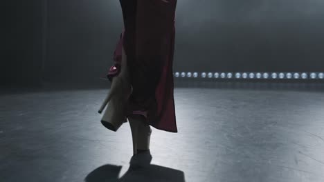 young female heels dancer entering stage. close up of woman legs. smoky stage