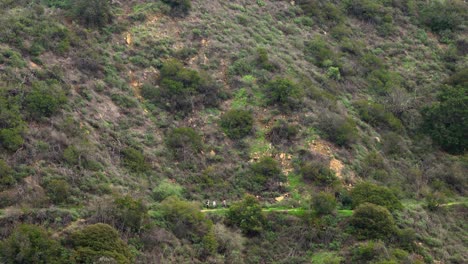 A-group-of-three-people-are-walking-down-a-hiking-trail-path-in-an-ultra-wide-shot