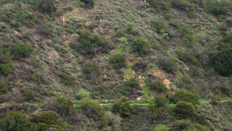 un grupo de tres personas caminan por un sendero de senderismo en un plano ultra ancho
