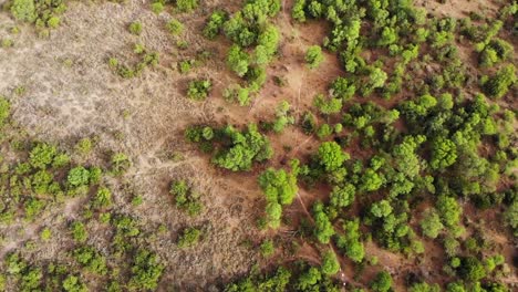 Drone-Fly-Over-of-a-Single-track-on-a-Sunny-Day