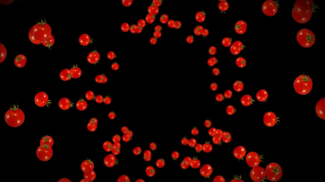 검은색 바탕에 많은 신선한 토마토를 날아. 유기 채소. 익은 맛있는 체리 토마토. 토마토 회전의 3d 루프 애니메이션.