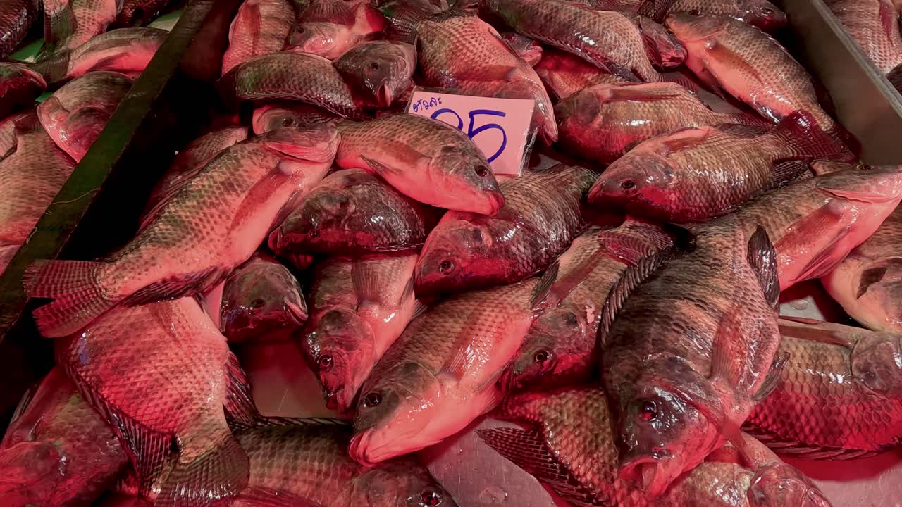 Blandad fisk utlagd till försäljning på is