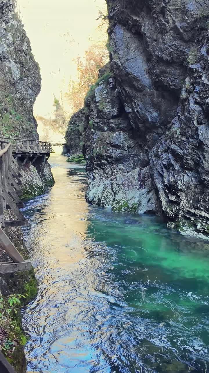 Acque color smeraldo del fiume Radovna che scorrono attraverso la splendida Gola di Vintgar in Slovenia.