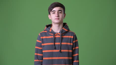 junger hübscher iranischer teenager gegen grünen hintergrund