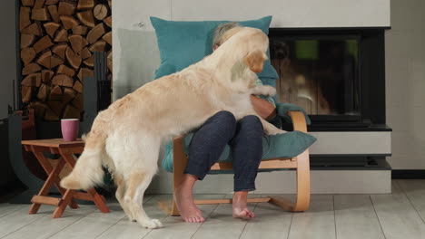 golden retriever playing with elderly woman in living room