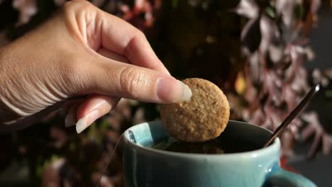 having afternoon tea with biscuit in fall on patio, close up