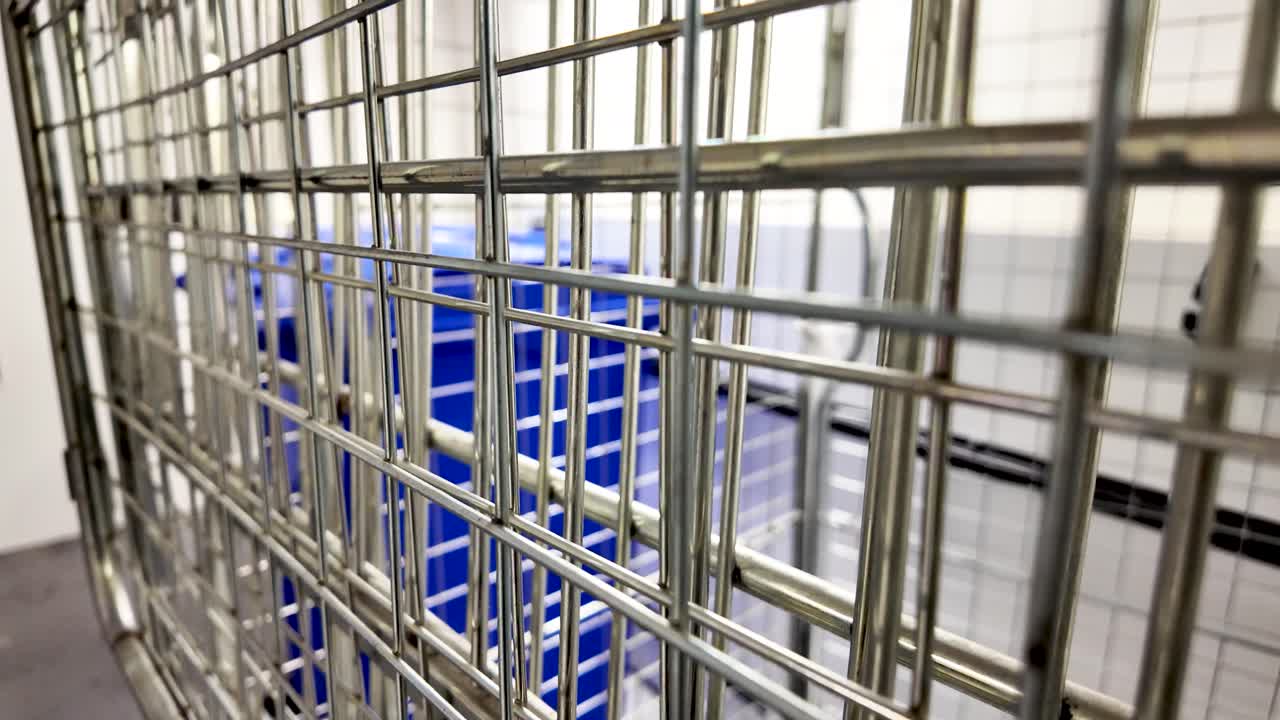 Intricate Design of Metallic Trolley Cage in Industrial Environment
