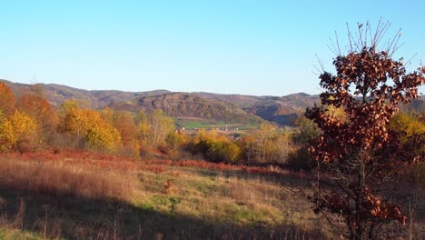 increíble bosque de otoño de hoia con cadenas montañosas durante el verano en cluj-napoca, transilvania, rumania