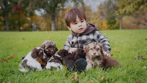 Cheerful-Asian-toddler-playing-with-puppies-on-a-green-lawn