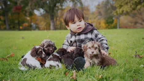 cheerful asian toddler playing with puppies on a green lawn