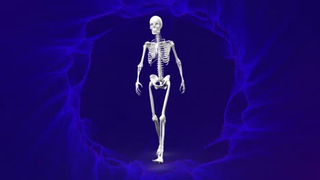 animation of blue light trails over skeleton walking