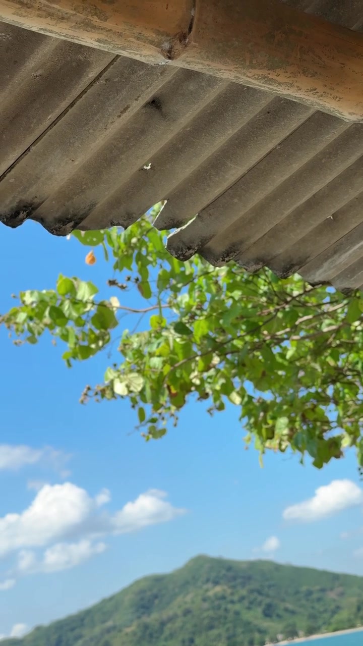 Scenic View of a Tropical Ocean and Mountains Under a Corrugated Roof