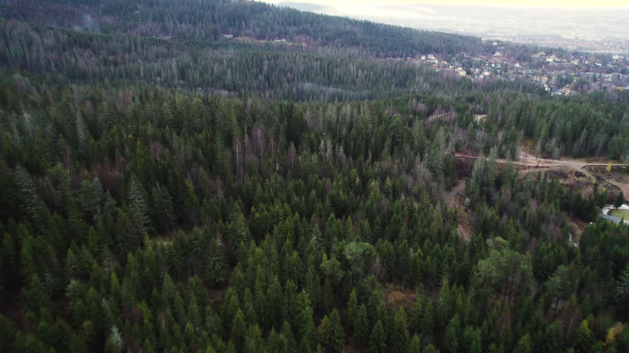 drones volando sobre exuberantes árboles verdes de coníferas en el área de holmenkollen cerca de la colina de saltos de esquí de holmenkollbakken en oslo, noruega