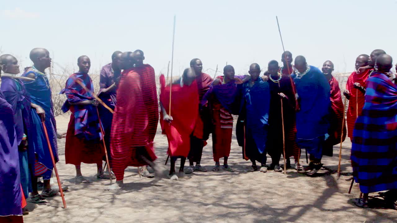 마사이족 전사들은 탄자니아 창으로 위아래로 점프하여 전통 부족 춤을 춥니다.