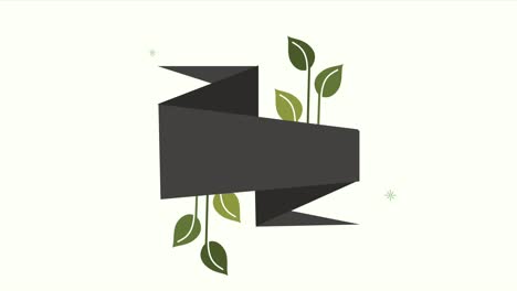 cinta y planta de calidad orgánica y natural