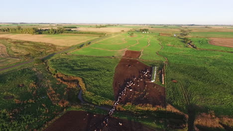 Vista-Aérea-Del-Paisaje-Rural-Y-Campos-De-Cría-De-Ganado-En-Argentina