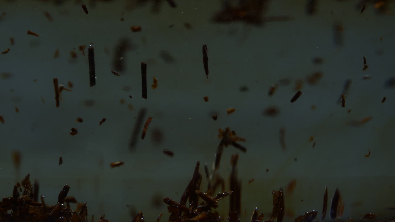 깨한 물에서 조용히 떠다니는 잔해와 나무 부분의 매크로