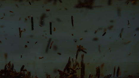 macro disparo de escombros y piezas de madera flotando tranquilamente en agua clara