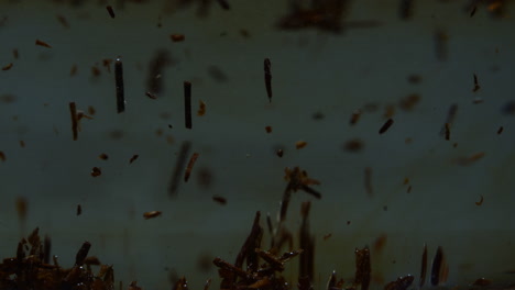 macro shot of debris and wood parts floating calmly in clear water