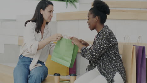 Women friends shopping and talking