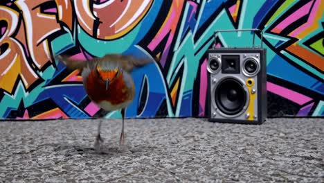 robin in front of graffiti and speaker