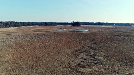 aerial view of flock of birds flying over plowed field and lake in background