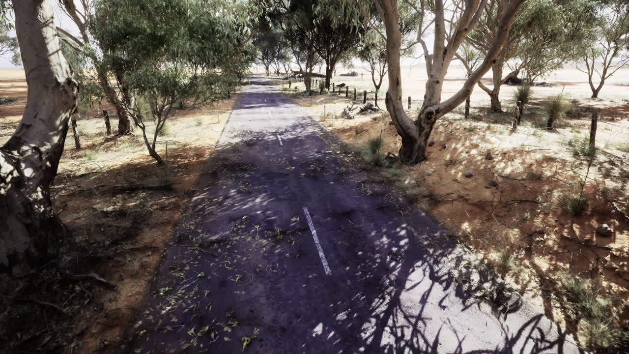 Abandoned pathway surrounded by trees in a rural setting during daytime