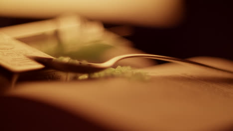 warm light on a book
