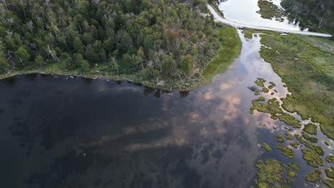 Drone-Aéreo-Sobre-El-Lago-Patagónico-Bosque-Profundo-De-Pinos,-Nubes-Reflejadas-En-El-Agua-En-El-Archipiélago-De-Tierra-Del-Fuego,-Fagnano-Cami