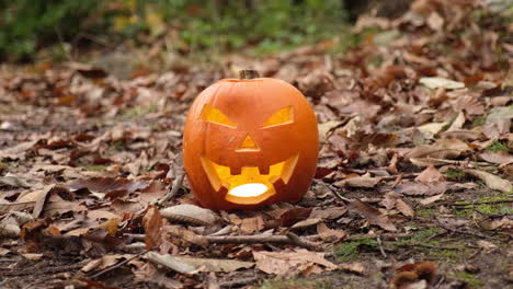 halloween sacudiendo calabaza espeluznante en el bosque de terror malvado