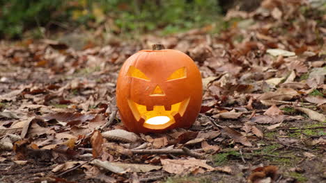 halloween shaking spooky pumpkin in the evil horror forest