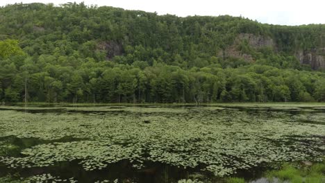 Great-shot-of-drone-flying-out-of-forest-towards-lake-with-light-rain-and-cliffs