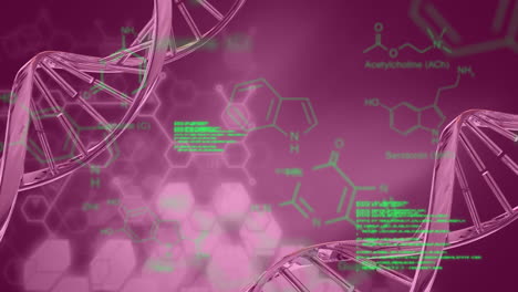 animación de fórmulas químicas y procesamiento de datos sobre cadenas de adn rotativas