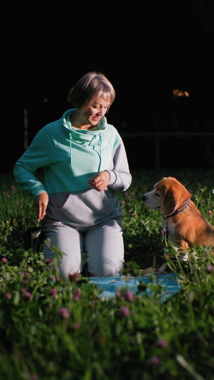 Relaxed scene of woman with dog under moonlight, Woman in field plays with beagle during calm night, Quiet moment in evening where woman gently interacts with her beagle in peaceful meadow