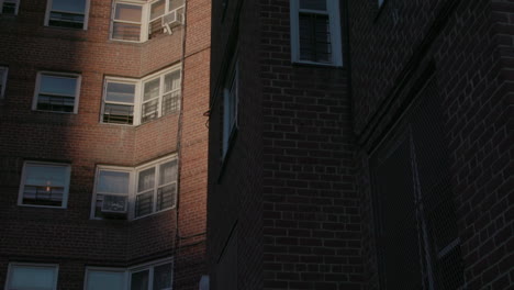 brownsville brooklyn buildings. brown brick housing tower-blocks.