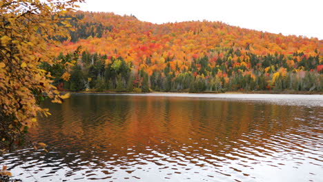 Stunning-wide-angle-of-the-fall-colors-coming-in-near-a-Lake-in-Rangely-Maine,-USA