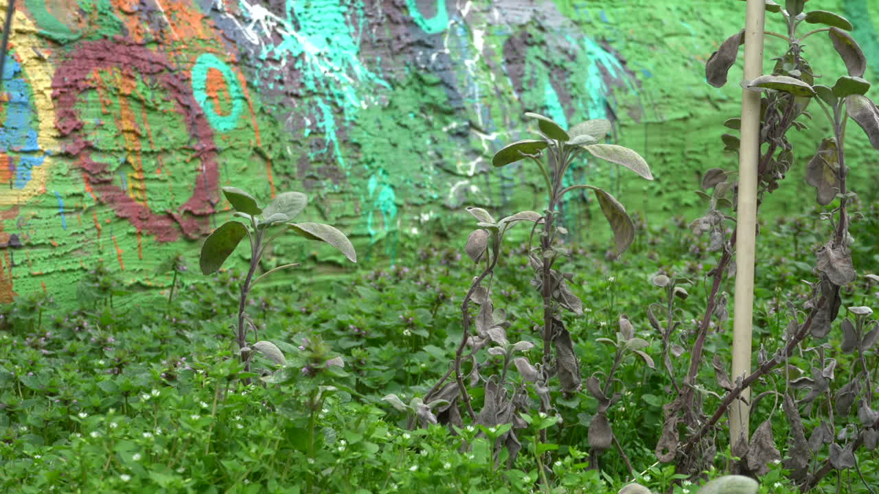 hermoso jardín verde y exuberante en filadelfia, pennsylvania