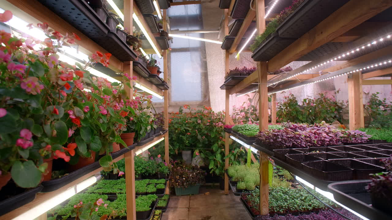 Indoor Vertical Farm with Various Plants