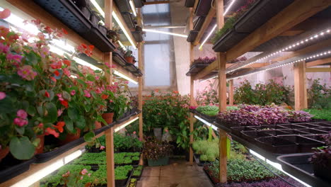 indoor vertical farm with various plants