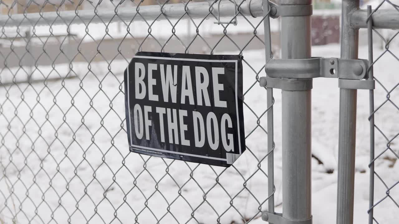 nevando en el primer día de la primavera mientras la cámara hace zoom dentro y fuera de cuidado con el cartel del perro en la valla de la cadena con laboratorio negro danés labradane perro en el patio con mucha nieve en el suelo - en el cine 4k 60 fps