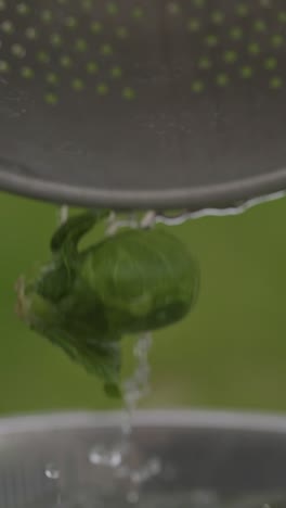 Lebensmittel-Makro-Vertikale-Nahaufnahme-Von-Rosenkohl-Grün-Bio-Garten-Gemüse-Fallen-Ins-Wasser-Gesunde-Vegetarische-Ernährung