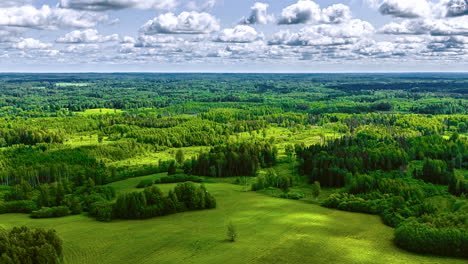 peaceful forest time lapse showing cloud shadows drifting over lush greenery