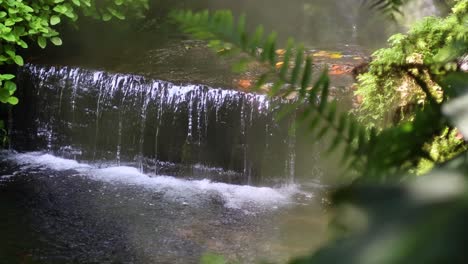 cascading waterfall surrounded by vibrant green foliage