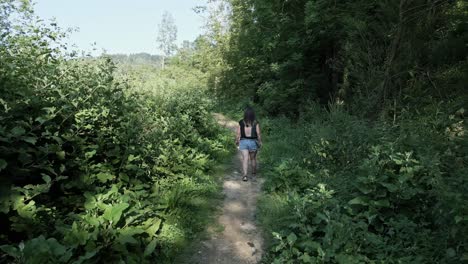 mujer con camisa y pantalones cortos a pie con su perro en un área forestal