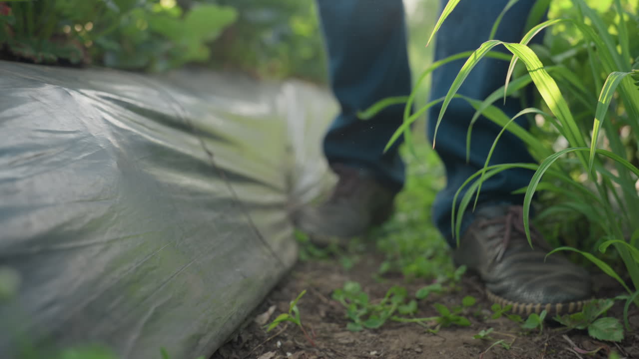 Leg view of man in jeans walking through farm while fumigating crops, dirt path between plastic covered beds, green plants and weeds visible, focus on footwear and ground level activity