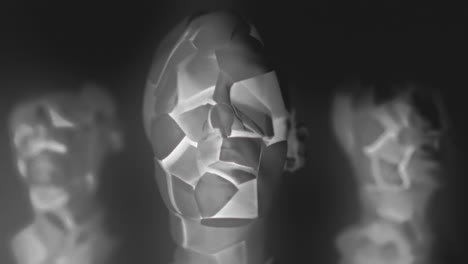 broken mannequin head shells in xray
