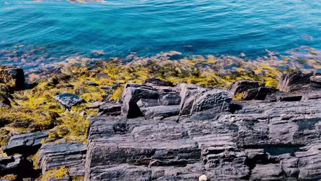 Granitfelsen-Mit-Algen-Bei-Ebbe-In-Makrelenbucht,-Harpswell,-Maine-4k