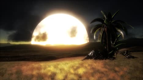 puesta de sol en las dunas de arena