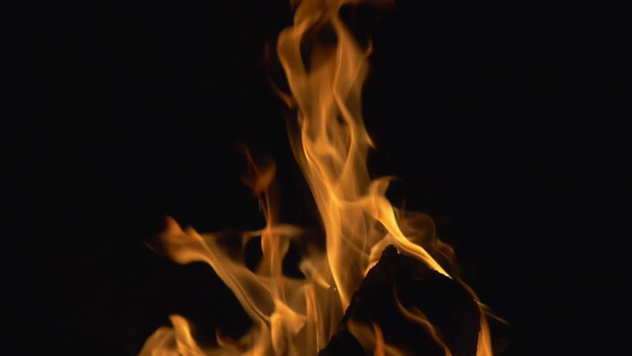 Campfire Close-Up View At Night. Camping Outdoor